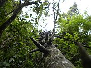 Sabie3