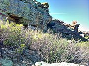 Cliff3