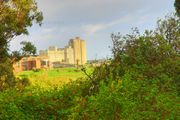 obs view