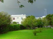 obs view
