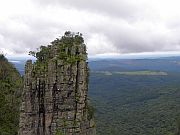 The Pinnacle