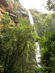 Lone Creek Falls